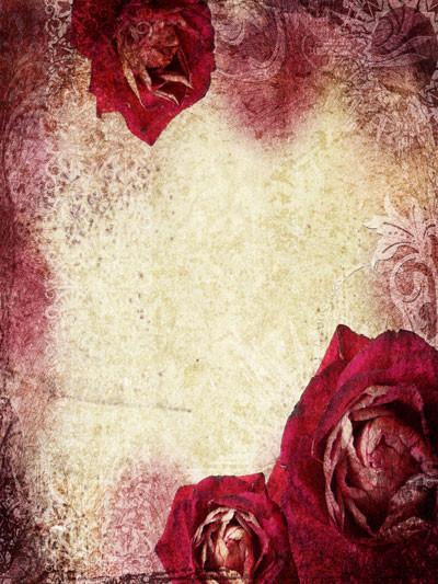 Katebackdrop:Kate Valentine'S Day Red Rose Photography Backdrops