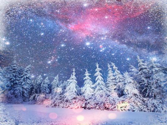 Katebackdrop:Kate Snow Scenery Colorful Sky Snow Forest Backdrops
