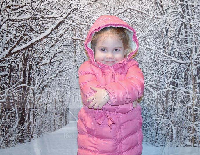 Katebackdrop:Kate Snow Winter Forest Frozen Tree Backdrop