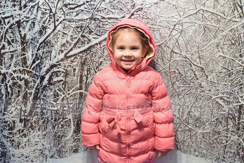 Katebackdrop:Kate Snow Winter Forest Frozen Tree Backdrop