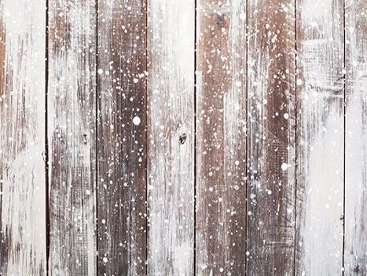 Katebackdrop:Kate Winter Scenery Wood With Snow Christmas Backdrops