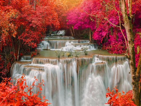 Katebackdrop:Kate Red autumn Forest Photo waterfall Backdrop