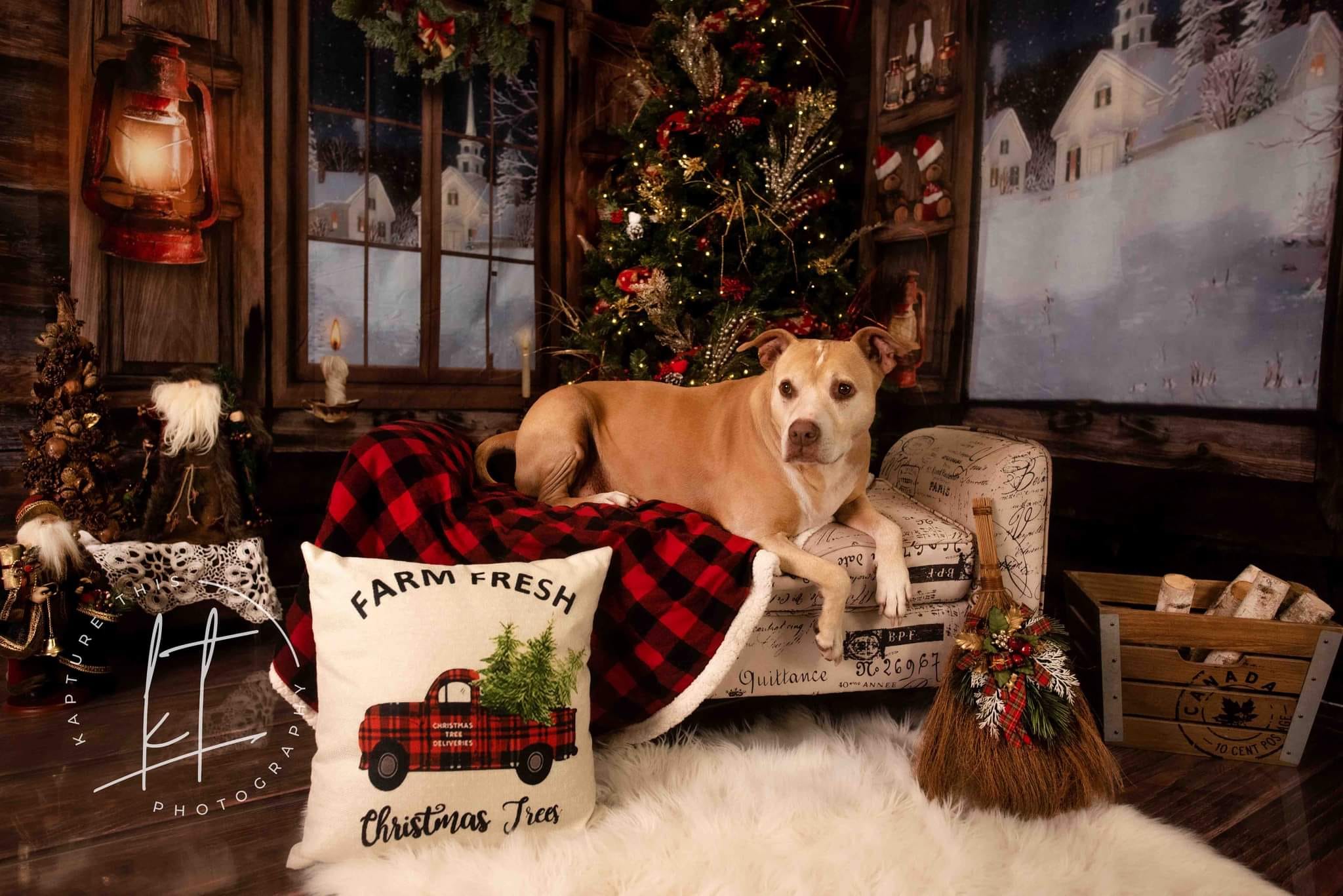 Kate Weihnachten Holz Innenfenster Hintergrund Raum - Kate Backdrop.de