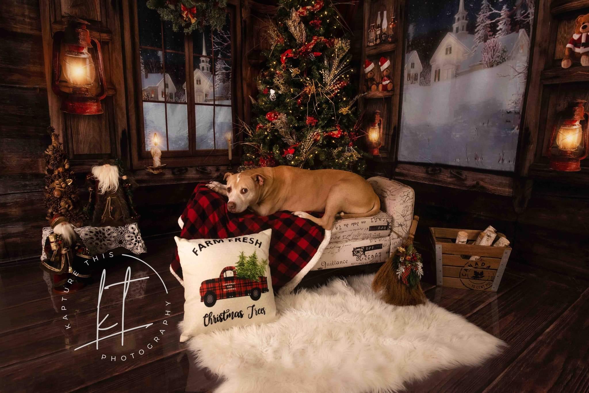 Kate Weihnachten Holz Innenfenster Hintergrund Raum - Kate Backdrop.de