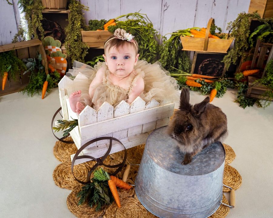 Kate Frühling Karotte Hintergrund Entworfen von Megan Leigh Photography - Kate Backdrop.de