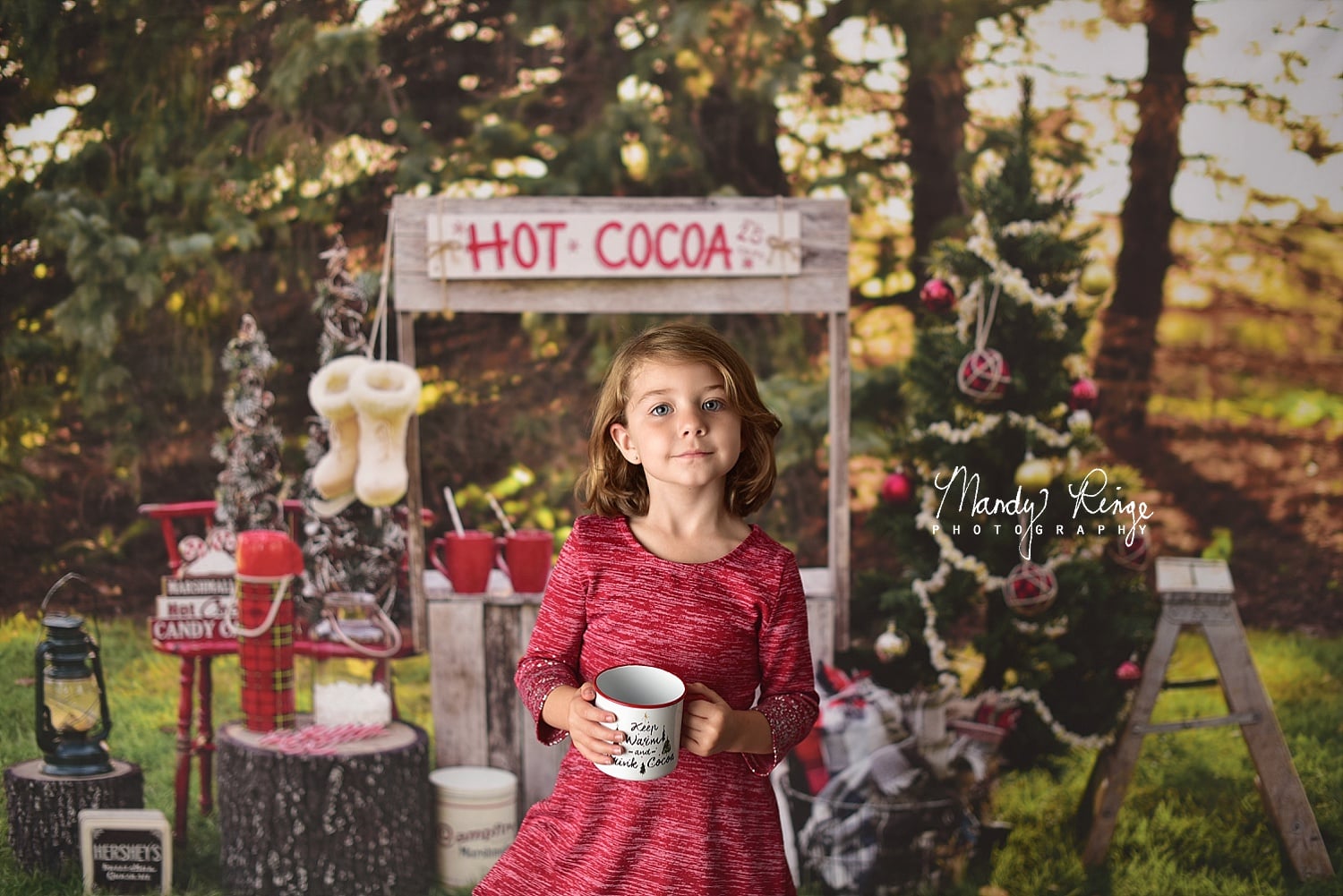 Kate Hot Cocoa Stand Weihnachten Baum Hintergrund von Mandy Ringe Photography - Kate Backdrop.de