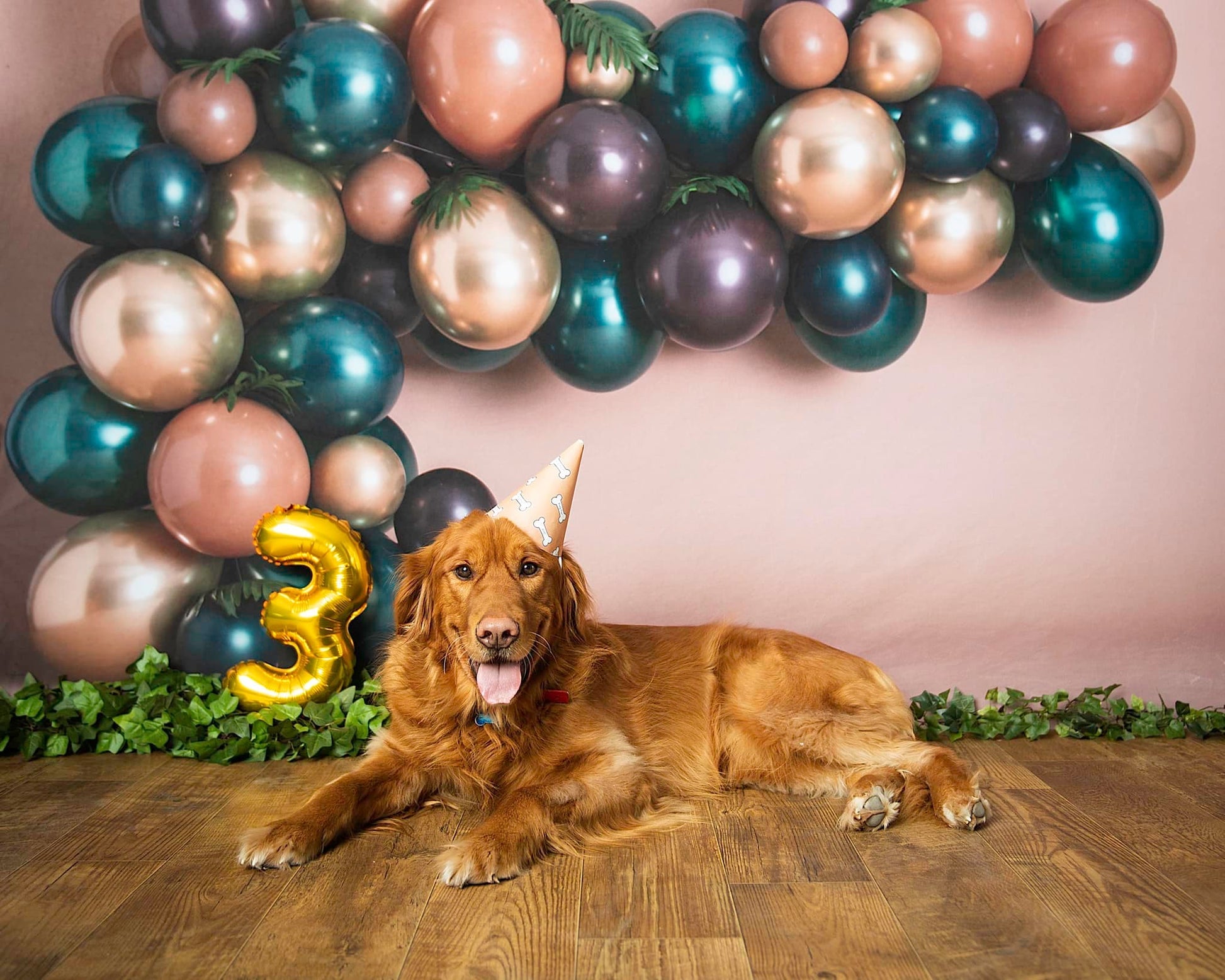 Kate Geburtstag Luftballons Hintergrund von Rose Abbas - Kate Backdrop.de