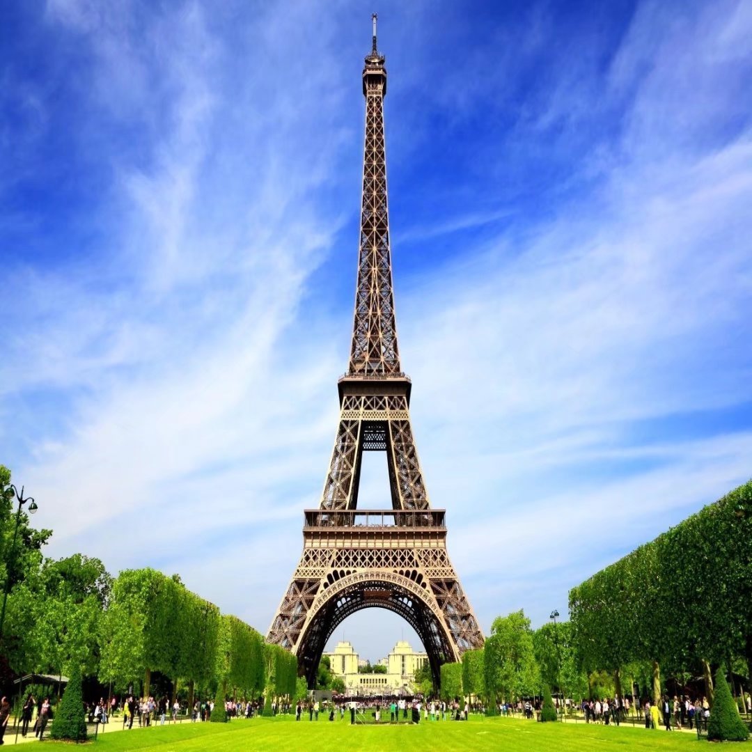 Katebackdrop:Kate Eiffel Tower Lawn Sunshine Backdrop for Photography