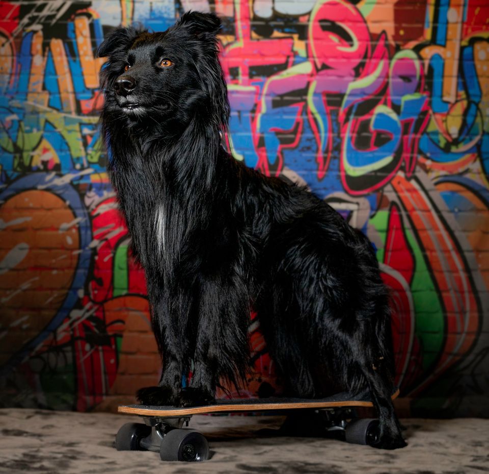 Kate Jugend Graffiti Wand grau Backsteinboden Hintergrund Kinder - Kate Backdrop.de