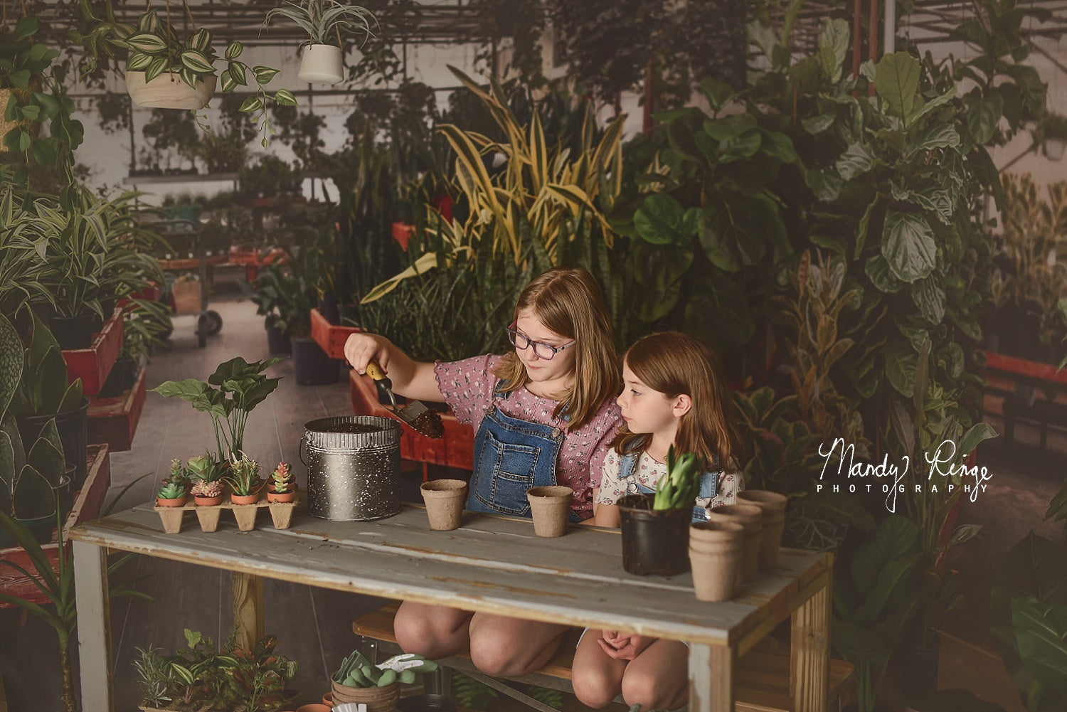 Kate Gewächshaus Interieur Hintergrund von Mandy Ringe Photography - Kate Backdrop.de