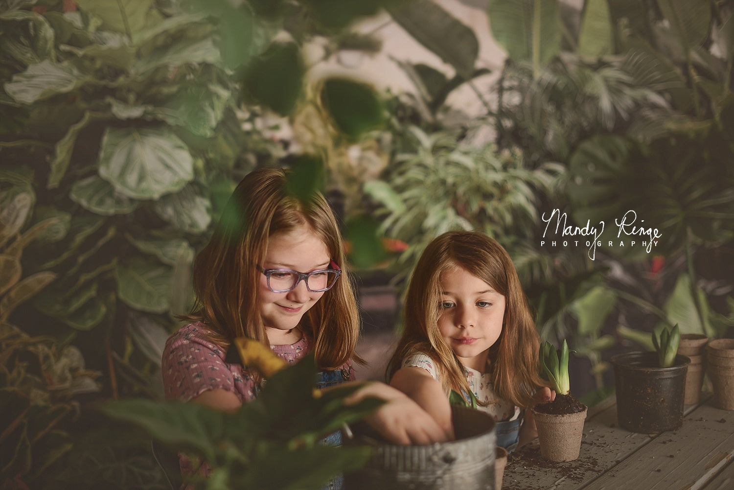 Kate Gewächshaus Interieur Hintergrund von Mandy Ringe Photography - Kate Backdrop.de