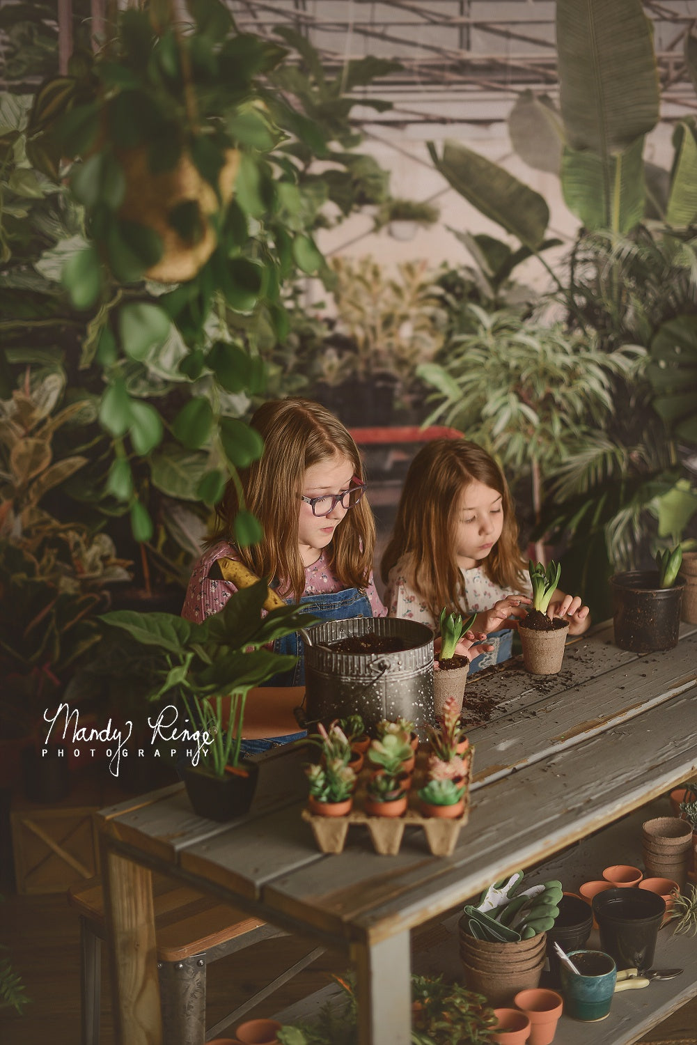 Kate Gewächshaus Interieur Hintergrund von Mandy Ringe Photography - Kate Backdrop.de