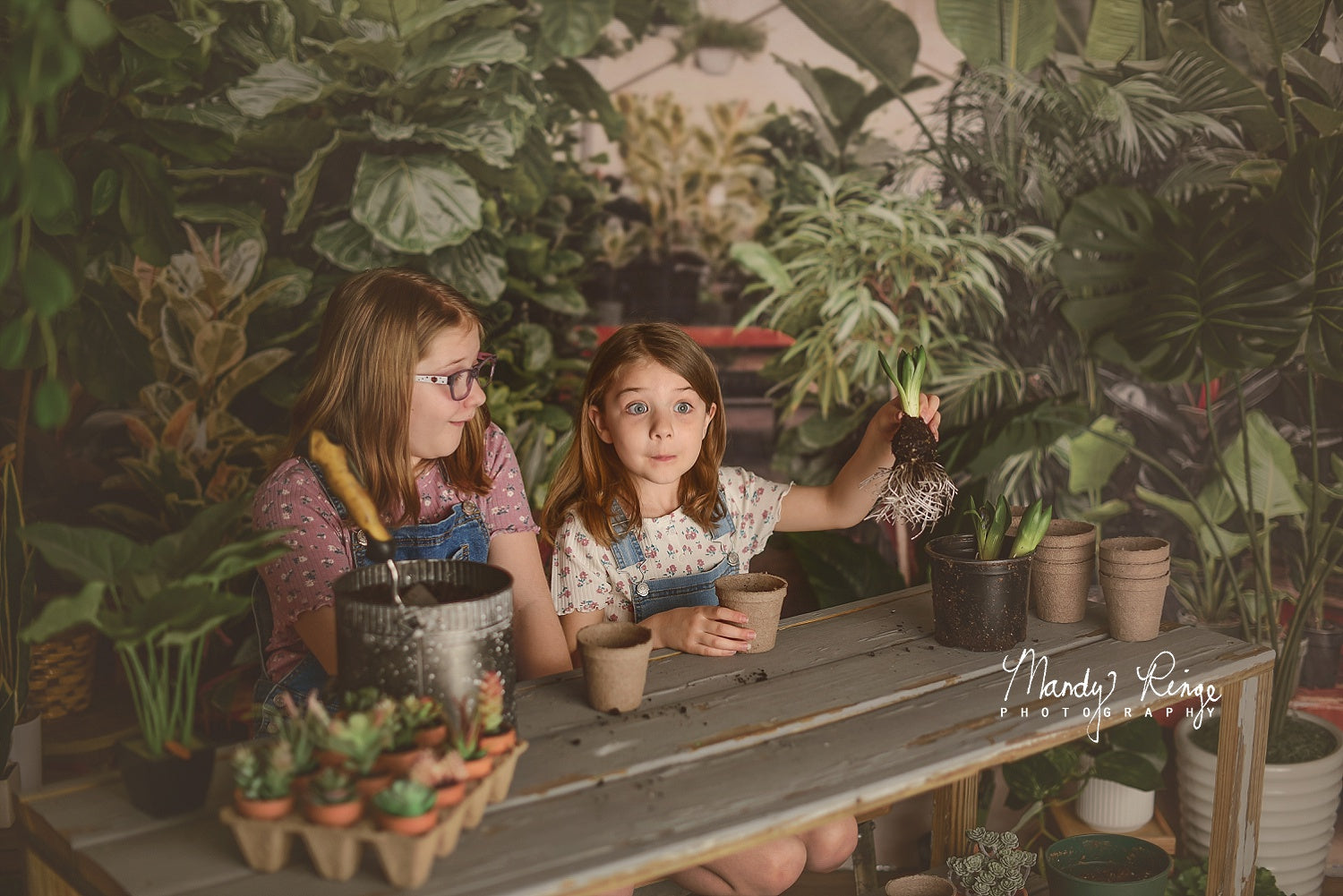 Kate Gewächshaus Interieur Hintergrund von Mandy Ringe Photography - Kate Backdrop.de