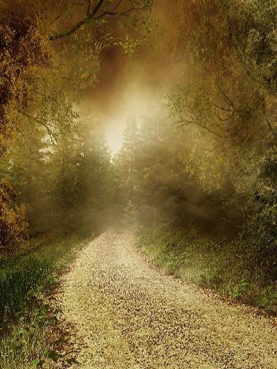 Katebackdrop:Kate Autumn Fantastic Forest Scenery Backdrop With Road For Photography
