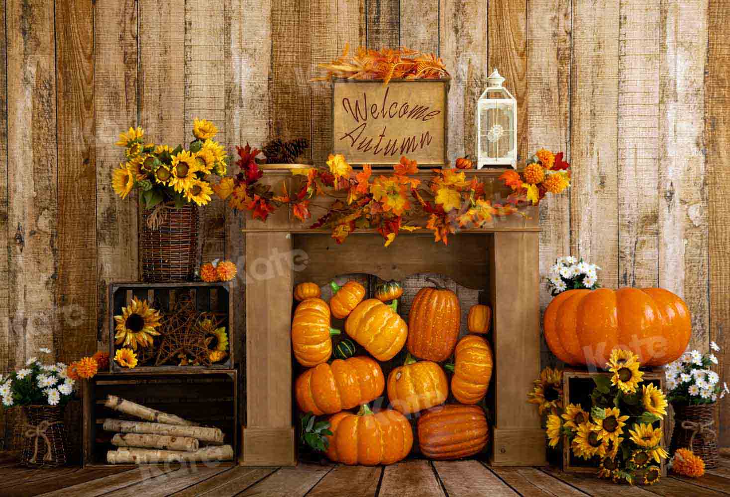 Kate Herbst Kürbis Hintergrund Holz Sonnenblumen von Emetselch - Kate Backdrop.de