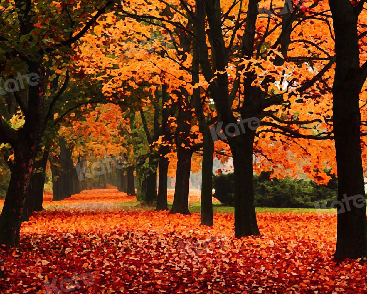 Kate Herbst Wald Landschaft Hintergrund für Fotografie von Chain Photography - Kate Backdrop.de