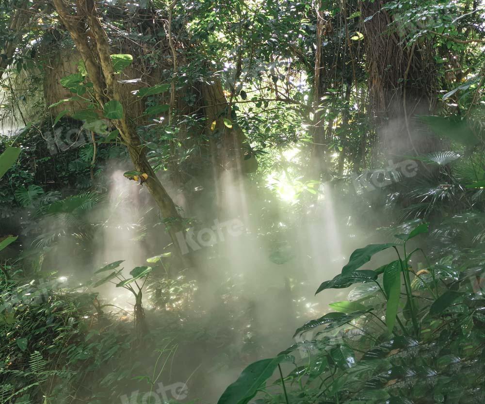 Kate Sommer Wald Hintergrund Sonnenschein von Emetselch - Kate Backdrop.de