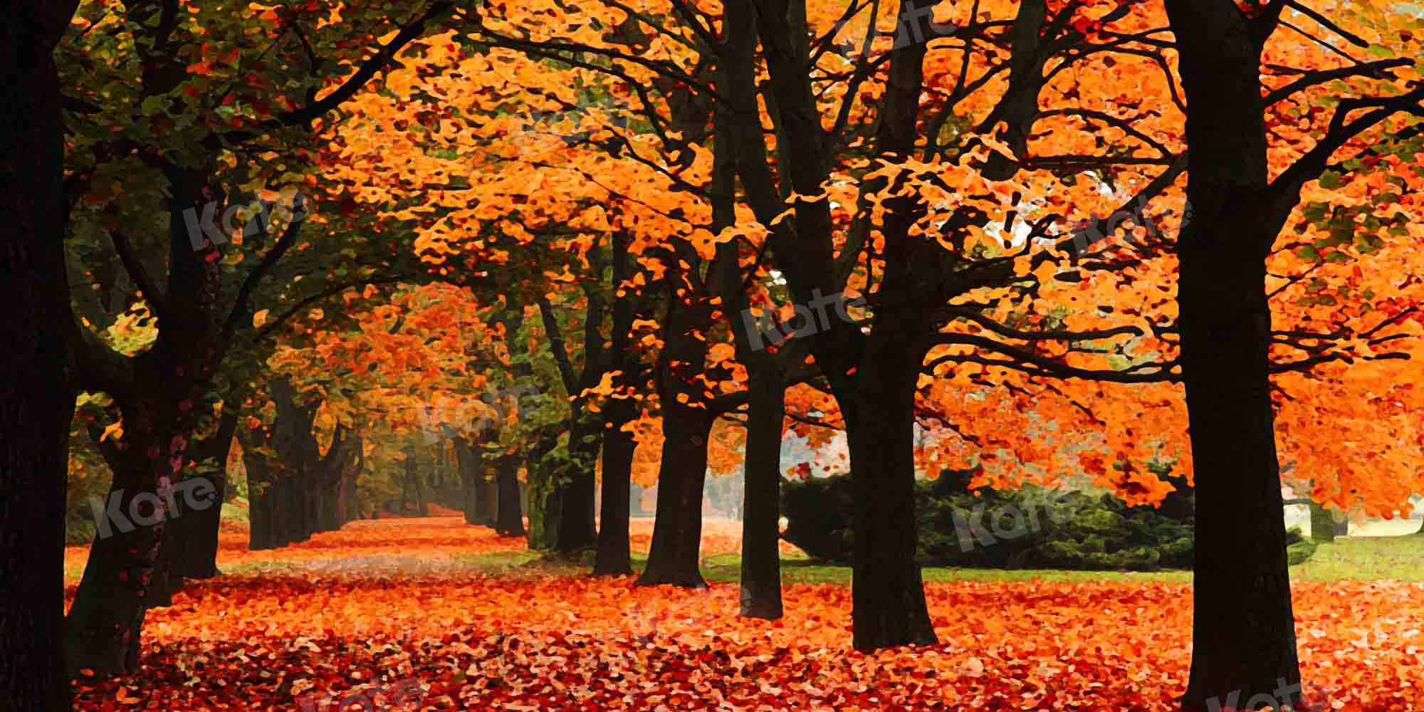 Kate Herbst Wald Landschaft Hintergrund für Fotografie von Chain Photography - Kate Backdrop.de