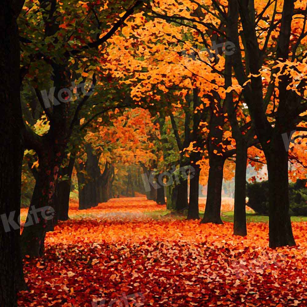 Kate Herbst Wald Landschaft Hintergrund für Fotografie von Chain Photography - Kate Backdrop.de