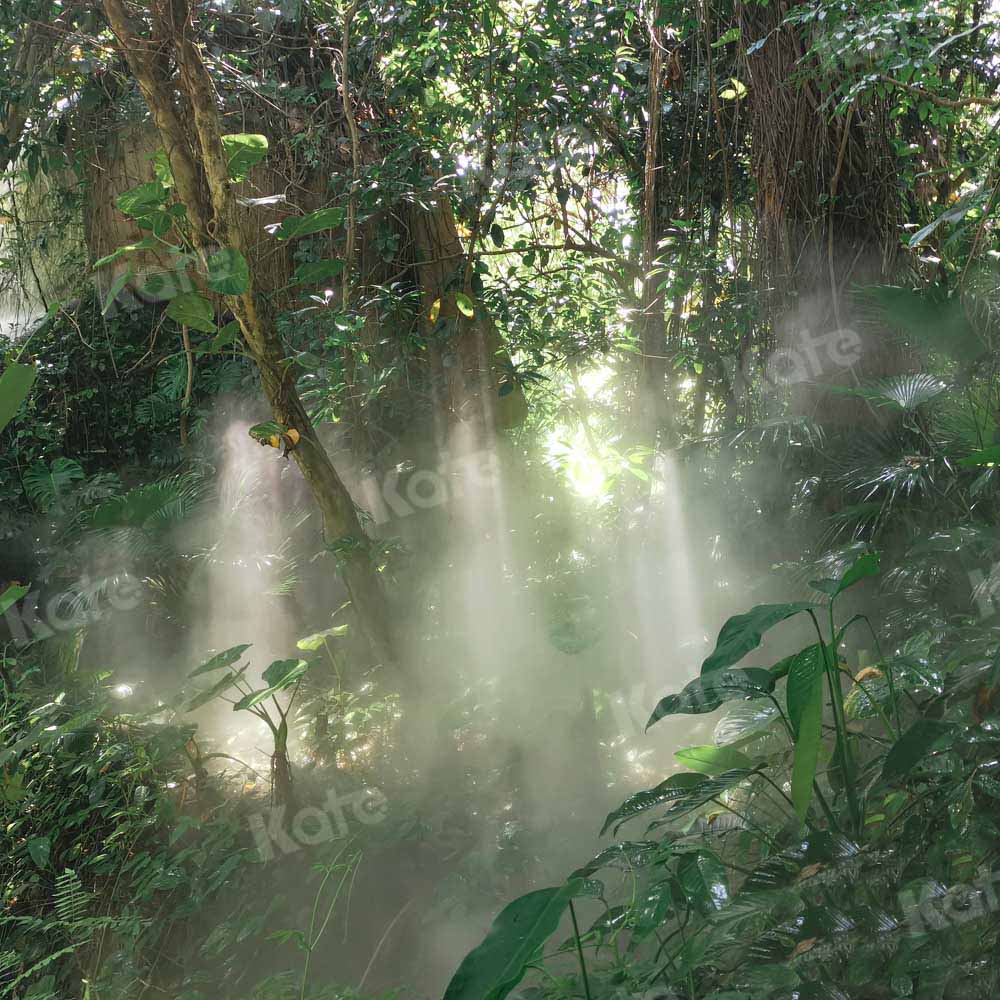 Kate Sommer Wald Hintergrund Sonnenschein von Emetselch - Kate Backdrop.de