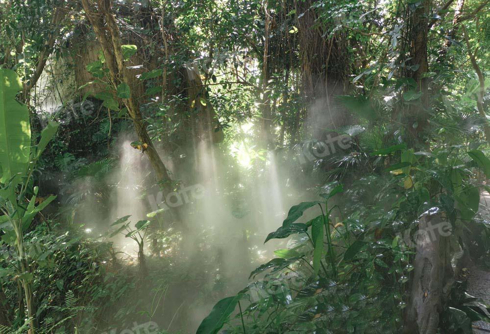 Kate Sommer Wald Hintergrund Sonnenschein von Emetselch - Kate Backdrop.de