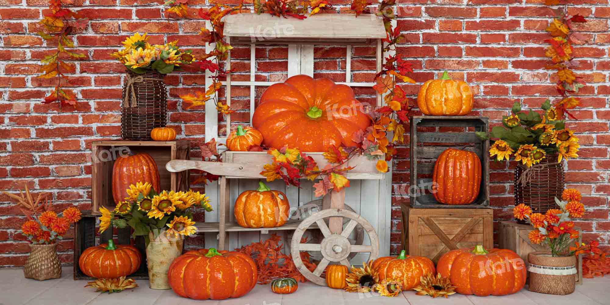 Kate Herbst Kürbis Hintergrund Stein Wand von Emetselch - Kate Backdrop.de