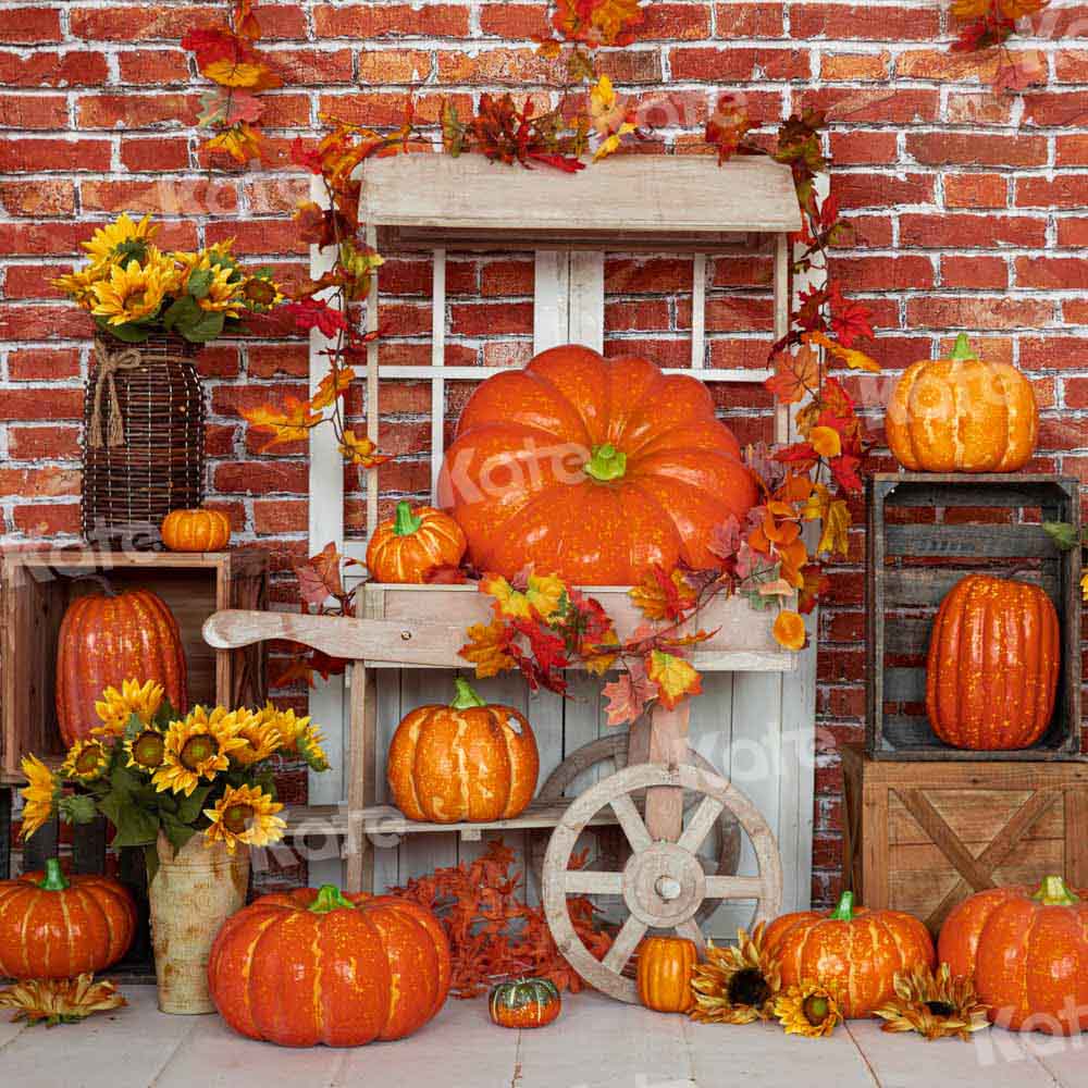 Kate Herbst Kürbis Hintergrund Stein Wand von Emetselch - Kate Backdrop.de