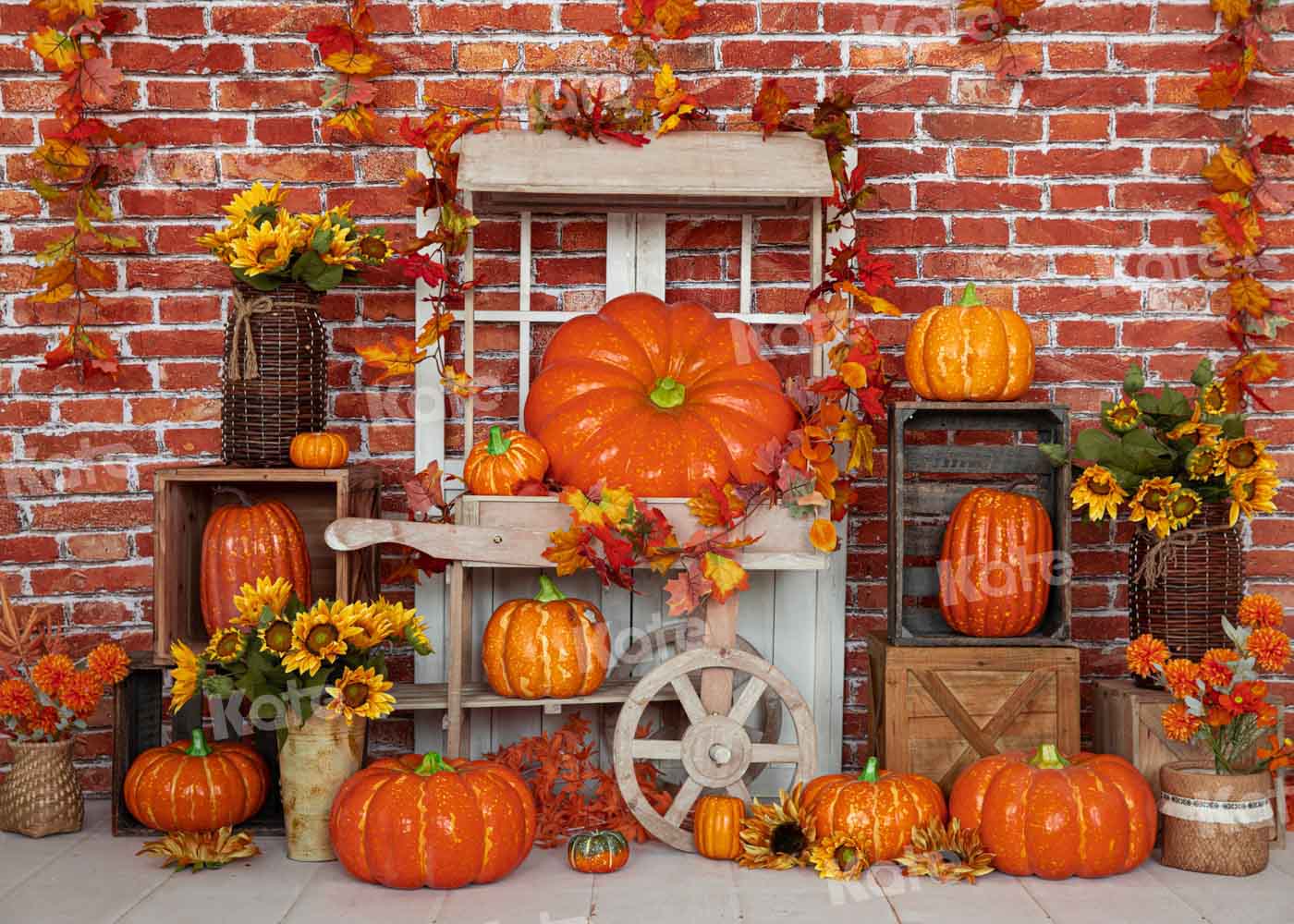 Kate Herbst Kürbis Hintergrund Stein Wand von Emetselch - Kate Backdrop.de