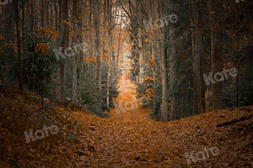 Kate Herbst Ahornblatt Hintergrund Wald Entworfen von Chain Photography - Kate Backdrop.de