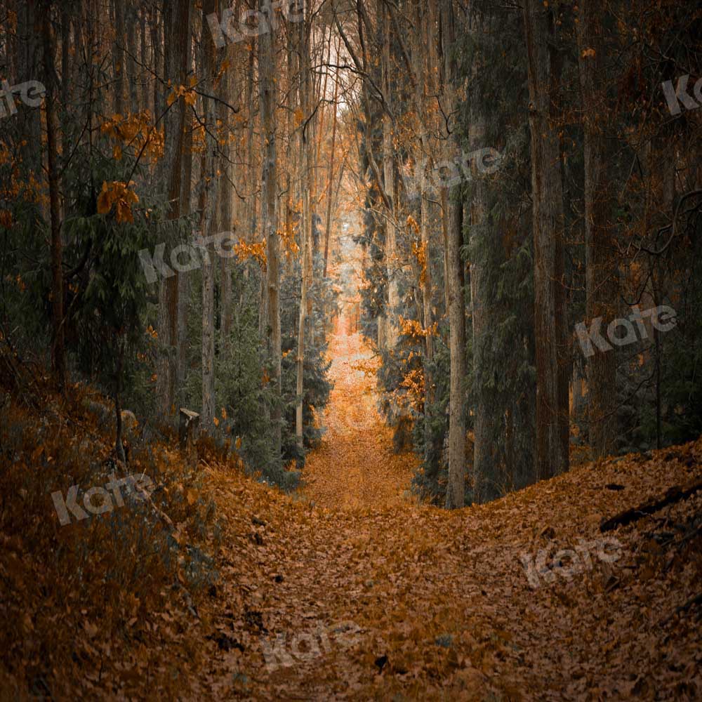 Kate Herbst Ahornblatt Hintergrund Wald Entworfen von Chain Photography - Kate Backdrop.de