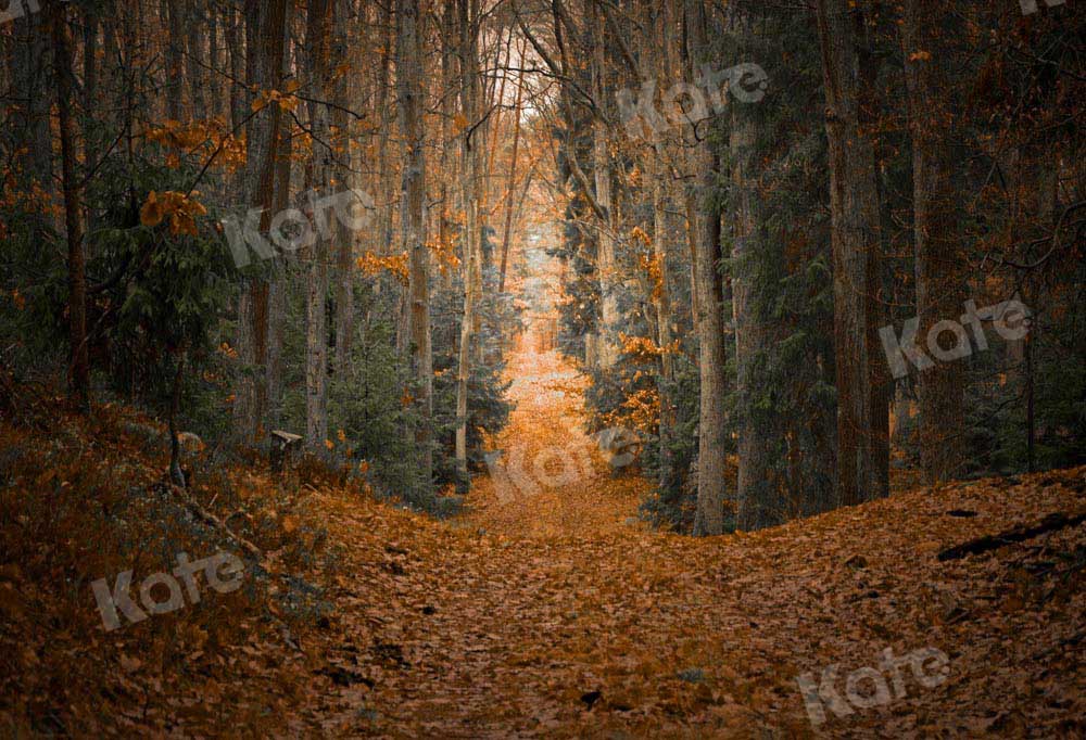 Kate Herbst Ahornblatt Hintergrund Wald Entworfen von Chain Photography - Kate Backdrop.de