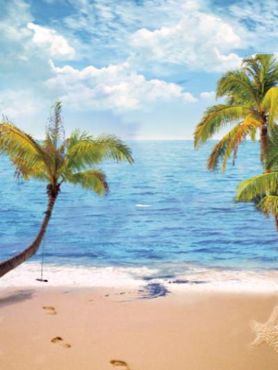 Katebackdrop£ºKate Sea Beach Holiday Summer Photo Coconut Trees Photography Backdrops