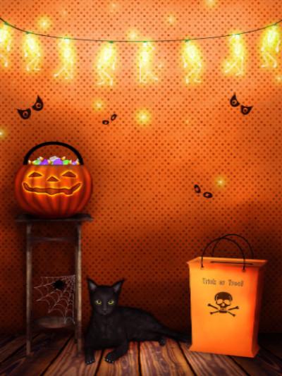 Katebackdrop:Kate Halloween Orange Photography Backdrop