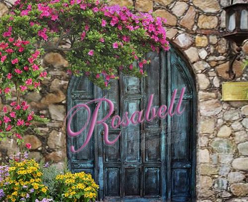 Kate Frühlingstor-Hintergrund Tür Entworfen von Rosabell Photography