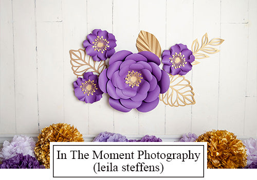 In The Moment Photography(leila steffens)