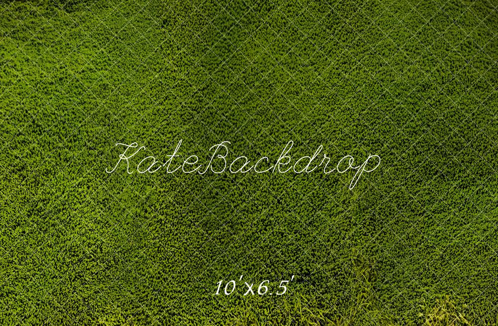Kate Wiese Gras Textur Grün Hintergrund Entworfen von Kate Image