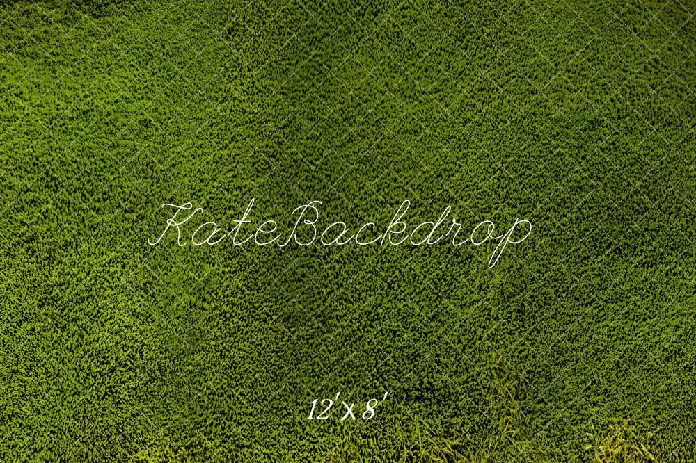 Kate Sommer Wiese Grün Textur Fleece Hintergrund Entworfen von Kate Image - Kate Backdrop.de