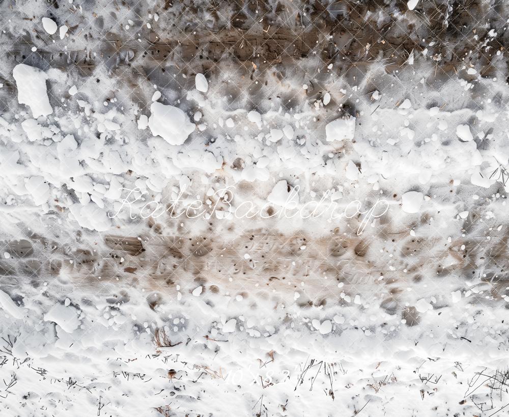 Kate Winter Schnee Boden Natur Hintergrund Entworfen von Kate Image - Kate Backdrop.de