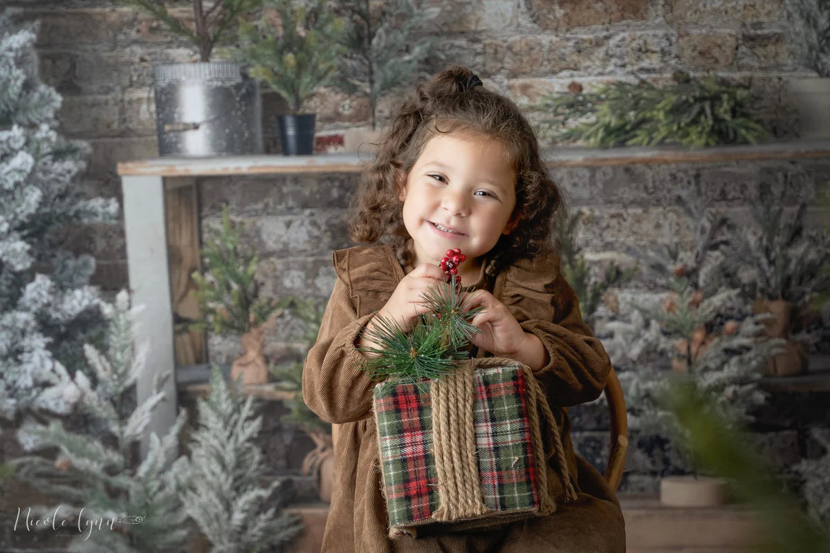 Kate Einfacher Hintergrund für einen Weihnachten ständer von Mandy Ringe Photography