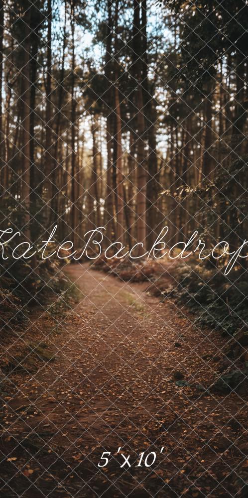 Kate Kombi Wald Weg Sonnenlicht Braun Hintergrund Entworfen von Emetselch - Kate Backdrop.de