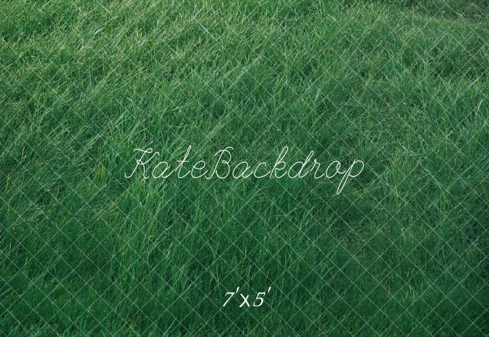 Kate Wiese Gras Grün Hintergrund Entworfen von Kate Image - Kate Backdrop.de
