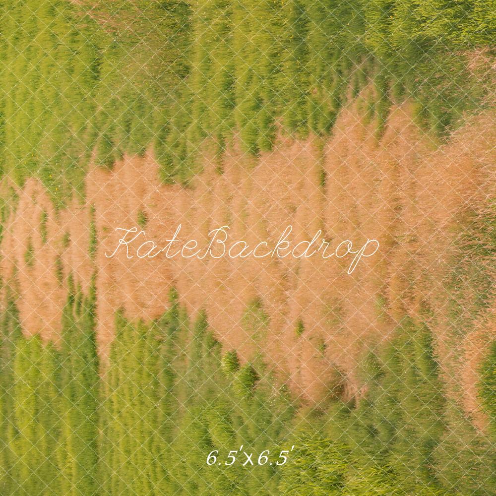 Kate Wiese Gras Textur Hintergrund Entworfen von Kate Image