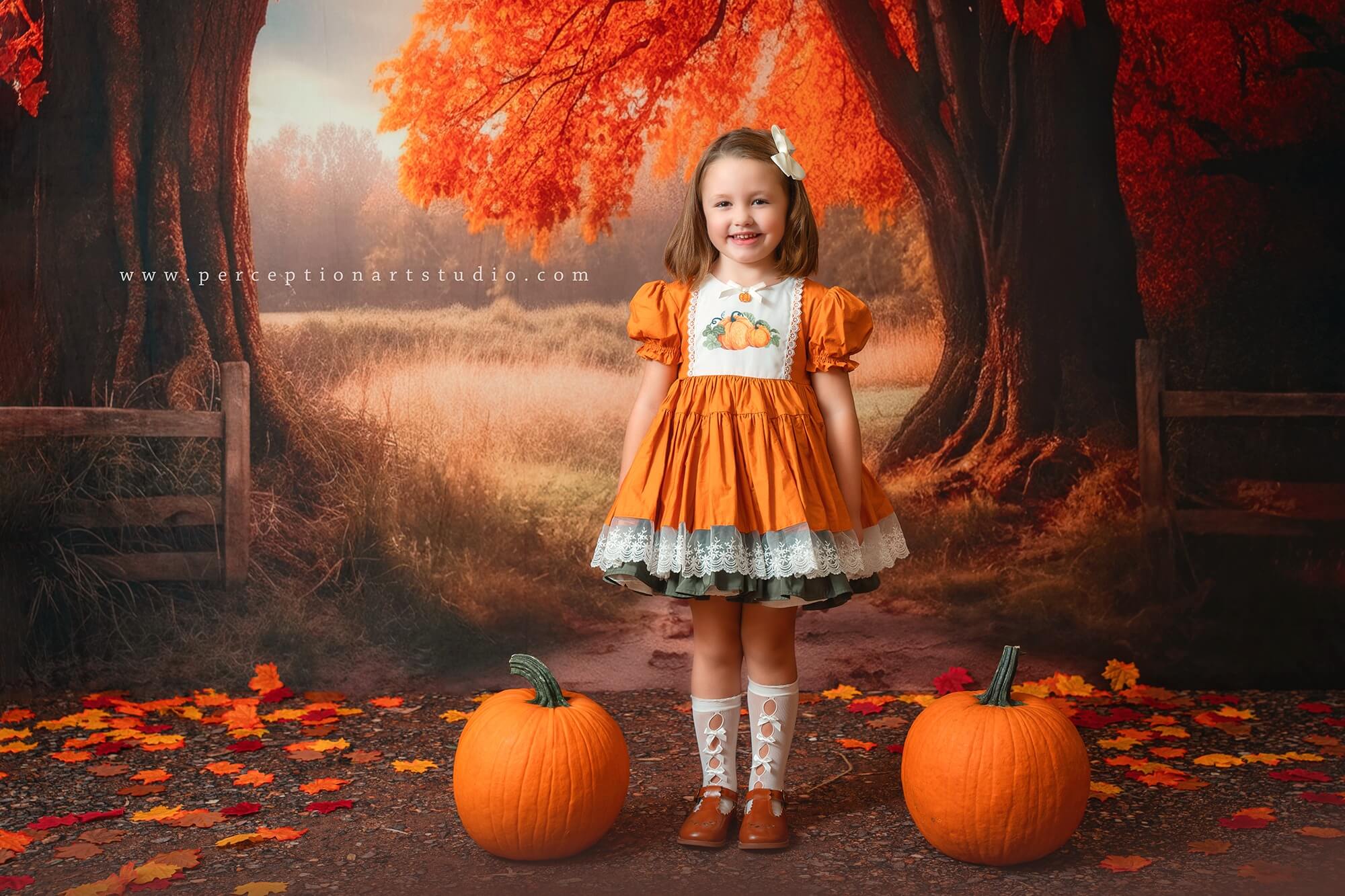 Kate Herbst Baum Hintergrund für Fotografie - Kate Backdrop.de