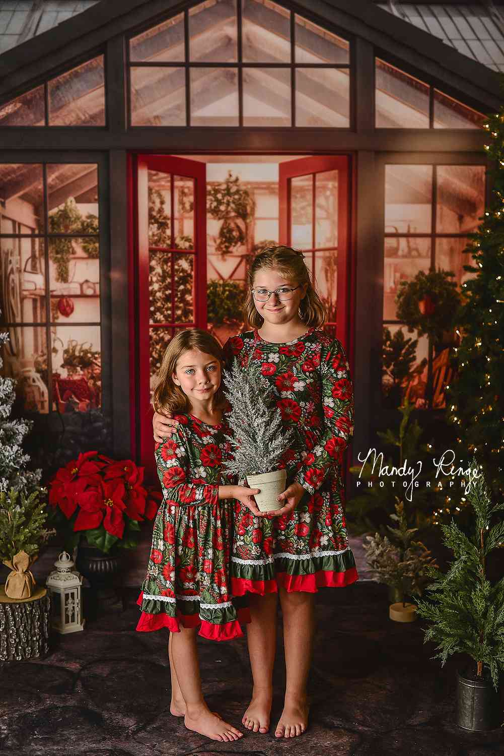 Kate Weihnachten Urlaub Gewächshaus Rot Hintergrund von Mandy Ringe Fotograf - Kate Backdrop.de