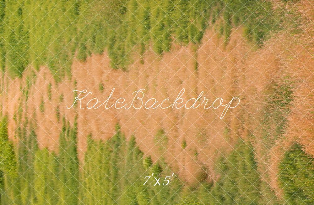 Kate Wiese Gras Textur Hintergrund Entworfen von Kate Image