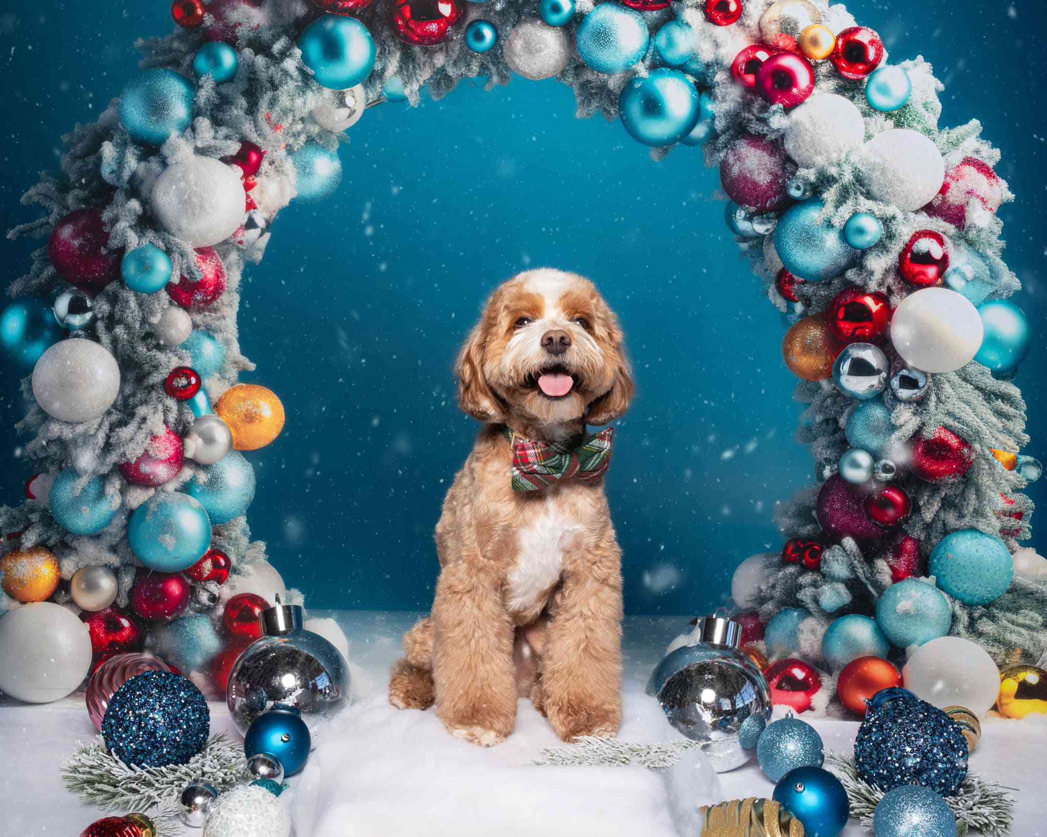 Kate Weihnachten Geburtstag Ornament Bogen Hintergrund von Mandy Ringe Fotograf