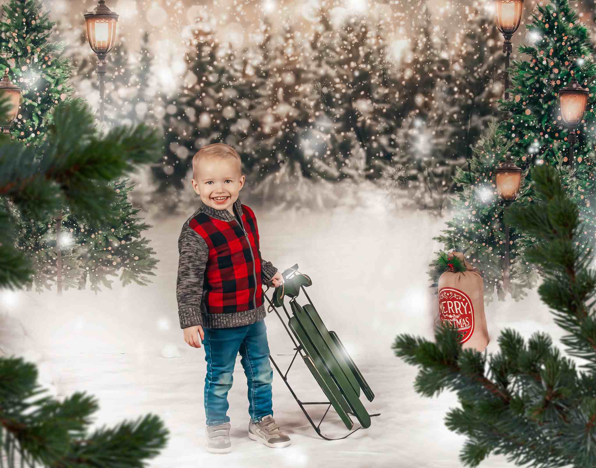Kate Weihnachten Schneewald Lichter Hintergrund für Fotografie - Kate Backdrop.de