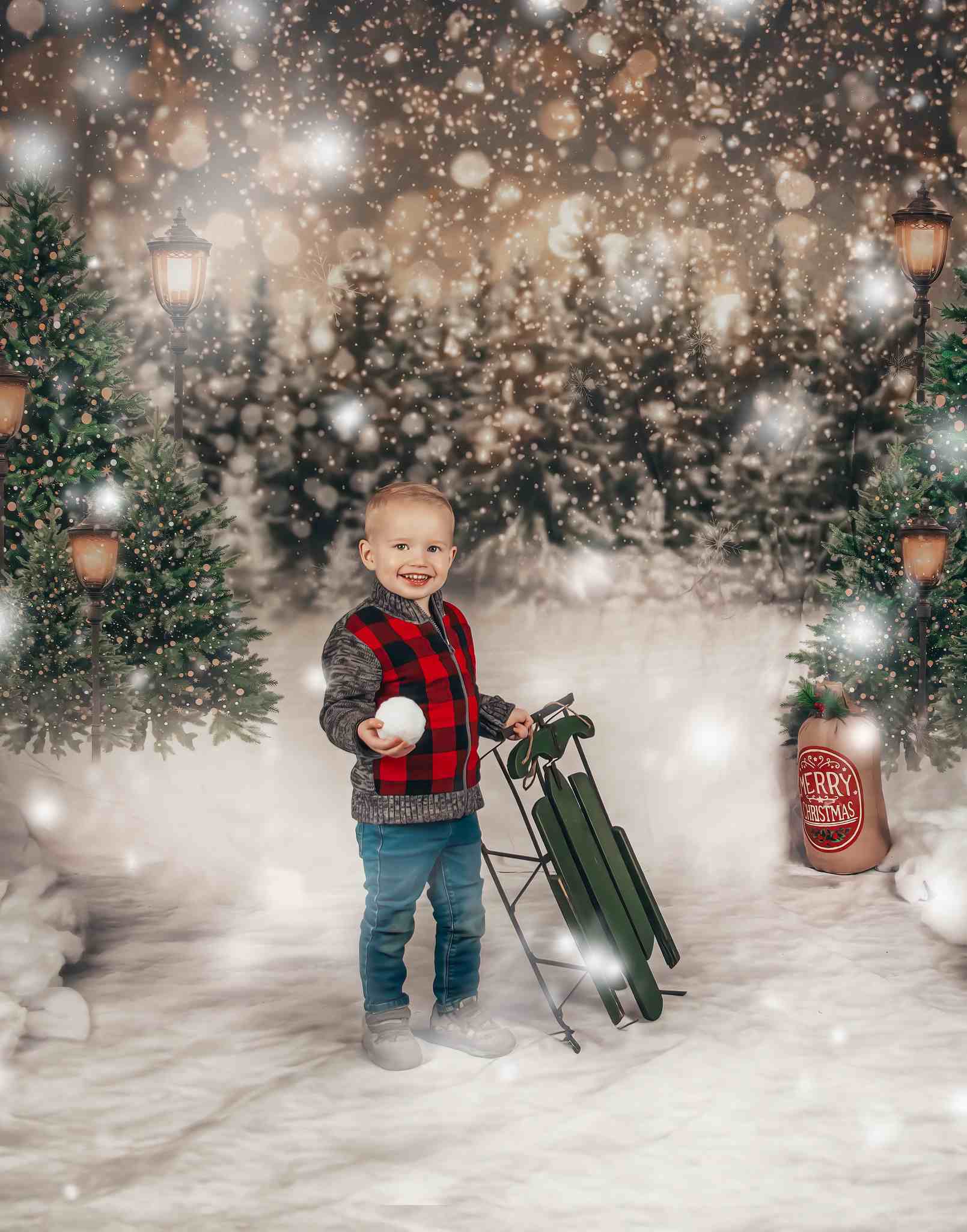 Kate Weihnachten Schneewald Lichter Hintergrund für Fotografie - Kate Backdrop.de
