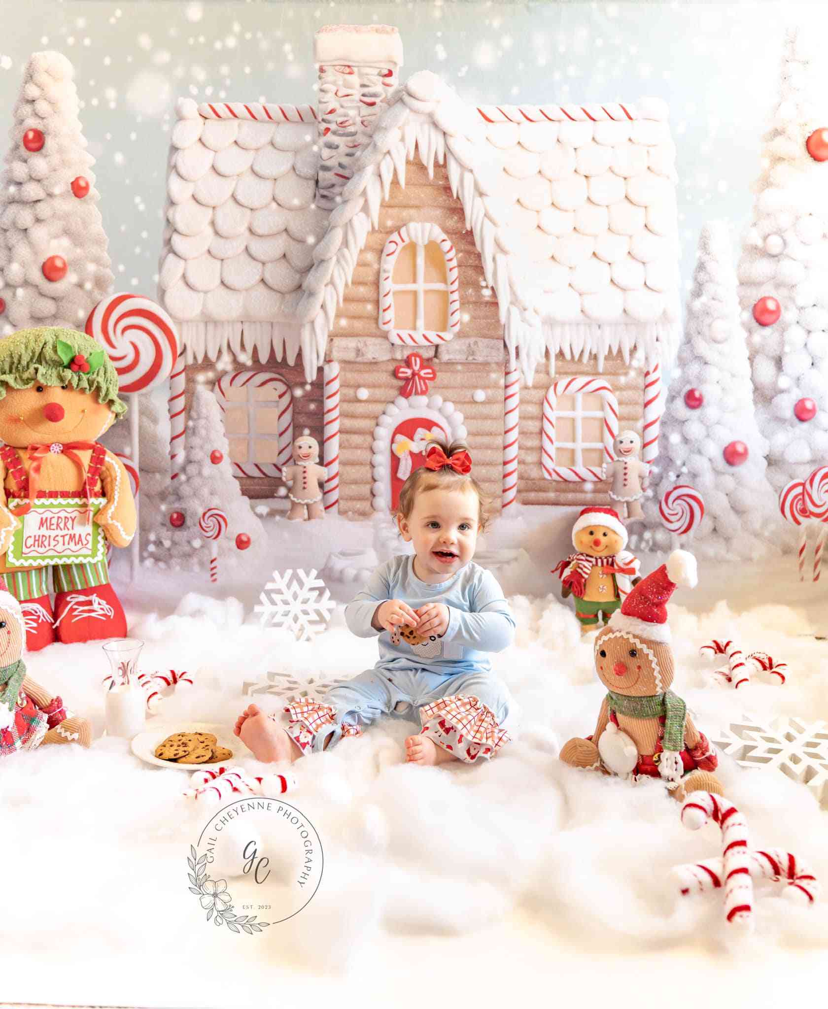 Kate Weihnachten Winter Schnee Süßigkeiten Haus Hof Hintergrund von Chain Photography - Kate Backdrop.de