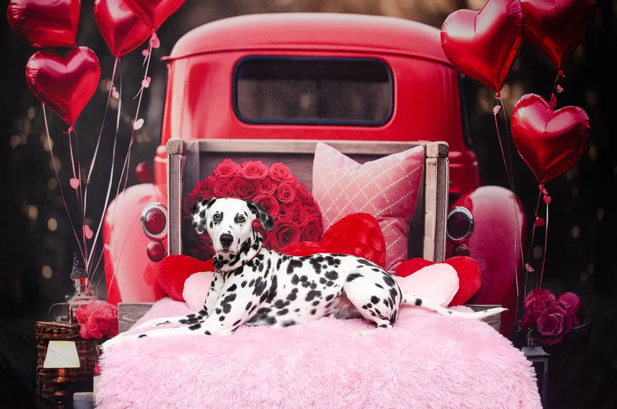 Kate Valentinstag Liebe Ballon Truck Fleece Hintergrund Entworfen von Chain Photography - Kate Backdrop.de